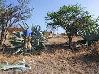 Fotos von 