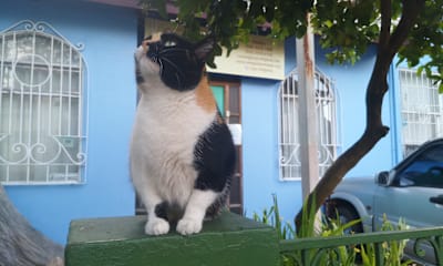 Фотографии 