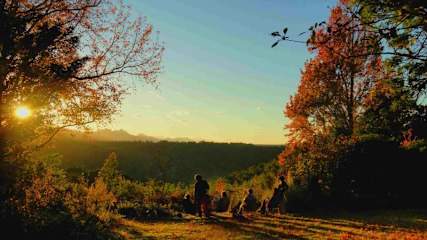 Photos of Wild Spirit Lodge