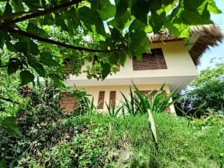 Foto di