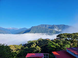 Foto di 