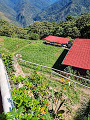 Foto di 