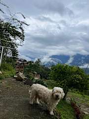 Foto di 
