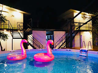 Photos of Wild Ones Hostel