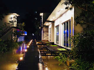 Photos of Wild Ones Hostel