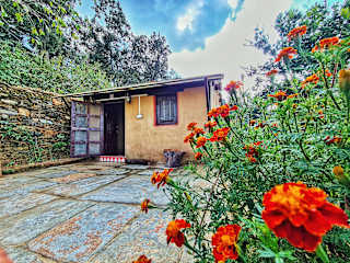 Photos of Sharda stays (Binsar Himalaya)