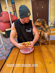Photos of The Galley Party Hostel, Social & Solo Travellers + Day Tours