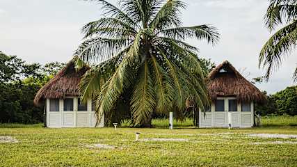 Playa Tortuga의 사진