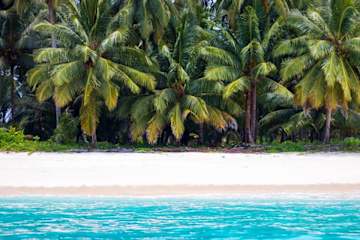 Fotos de Mentawai Ebay Playground Surfcamp