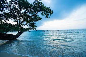 Fotos de Mentawai Ebay Playground Surfcamp