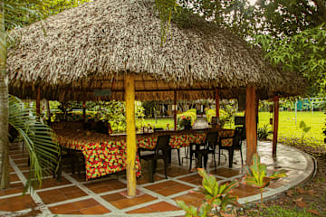 Photos of Jaba Jan