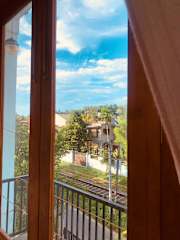 Jungle City Hostel의 사진