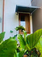 Jungle City Hostel의 사진