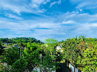 Jungle City Hostel의 사진