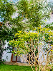 Jungle City Hostel의 사진