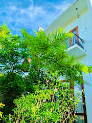 Jungle City Hostel의 사진