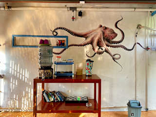 The House Hostel의 사진