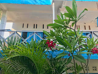 The House Hostel의 사진