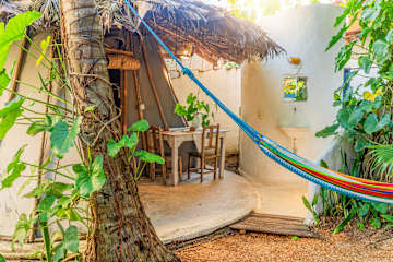 Treehouse Kitecamp Jericoacoara의 사진