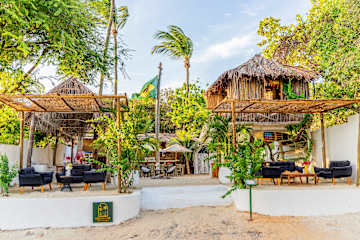 Treehouse Kitecamp Jericoacoara의 사진