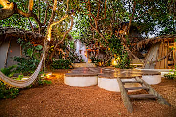 Treehouse Kitecamp Jericoacoara의 사진