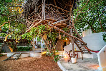 Treehouse Kitecamp Jericoacoara의 사진