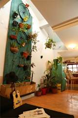 Photos of Florindahouse