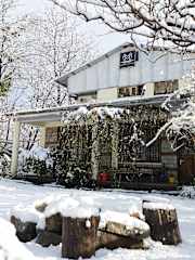 Mars Monkey Hostel and Cafe의 사진
