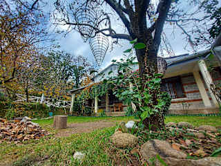 Mars Monkey Hostel and Cafe의 사진