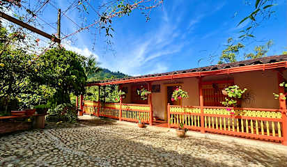 Photos de