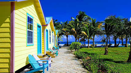 照片