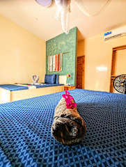 Fotos de Jambiani Backpackers Hostel