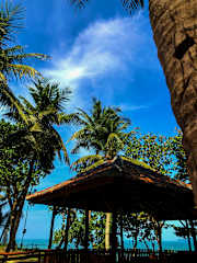 Photos of Sari Ater Beach Ecocabin & CamperVan Park
