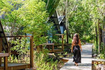 Photos of Bounce Magnetic Island and Koala Park