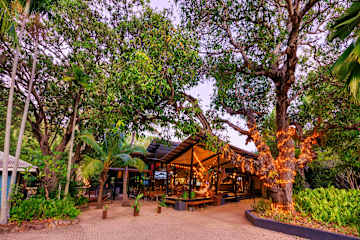 Photos of Bounce Magnetic Island and Koala Park