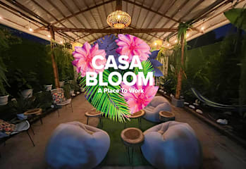Photos of Casa Bloom
