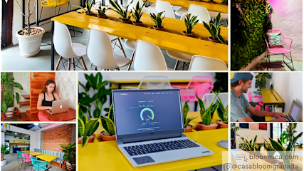 Photos of Casa Bloom