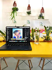 Photos of Casa Bloom