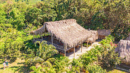 Foto di