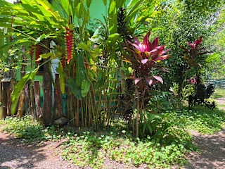 Fotos de