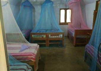 Photos of Salty Mango Resort