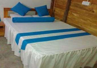Photos of Salty Mango Resort