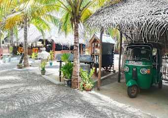 Photos of Salty Mango Resort