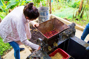 Photos of Don Leandro Coffee Farm