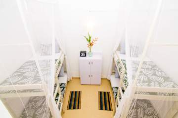 BunkyDewの写真