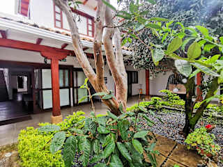 Foto di