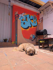 Photos of Peru Hostel Tajmani