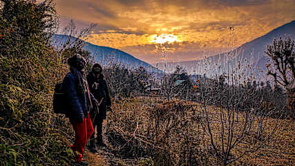 Photos of Desi Trails