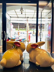Photos of Rabbitel Phuket