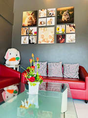 Photos of Rabbitel Phuket